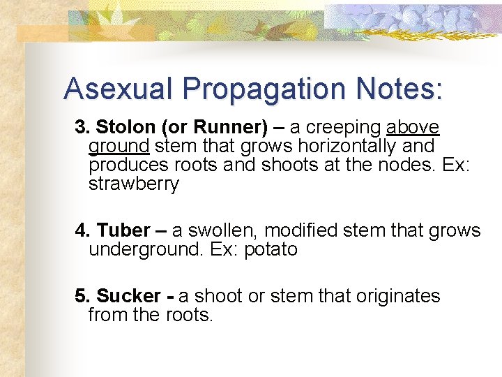 Asexual Propagation Notes: 3. Stolon (or Runner) – a creeping above ground stem that