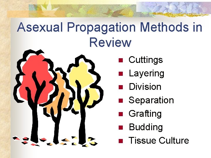 Asexual Propagation Methods in Review n n n n Cuttings Layering Division Separation Grafting