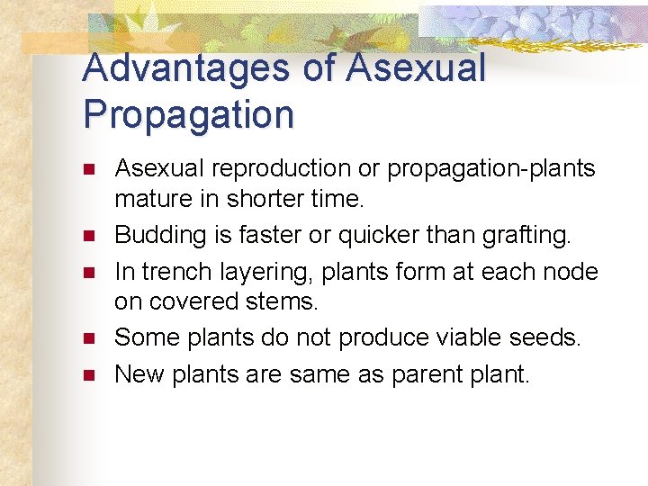 Advantages of Asexual Propagation n n Asexual reproduction or propagation-plants mature in shorter time.