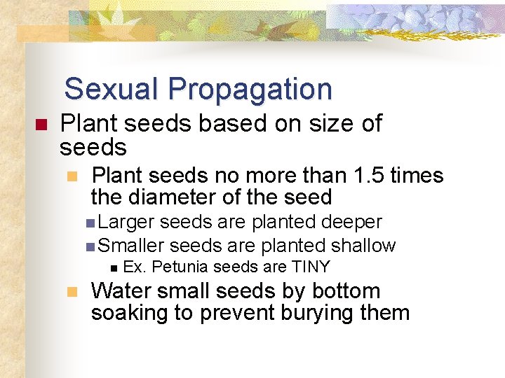 Sexual Propagation n Plant seeds based on size of seeds n Plant seeds no