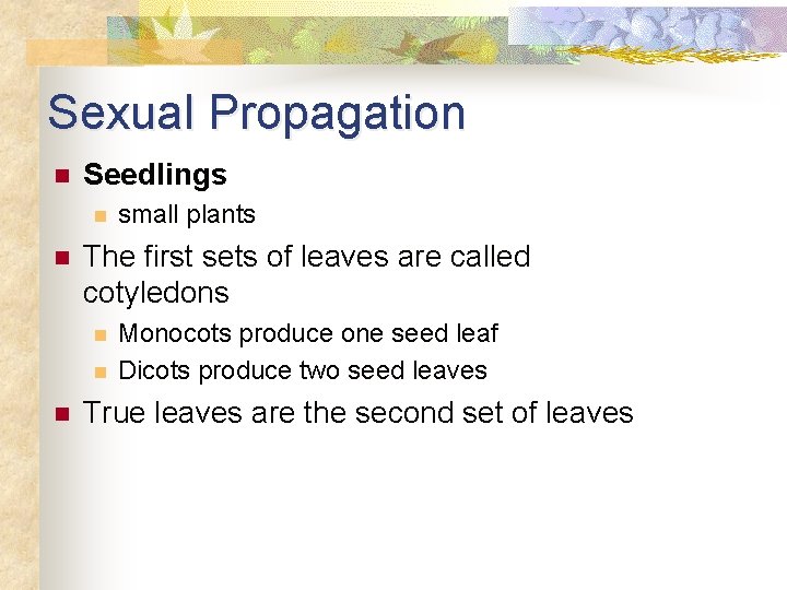 Sexual Propagation n Seedlings n n The first sets of leaves are called cotyledons