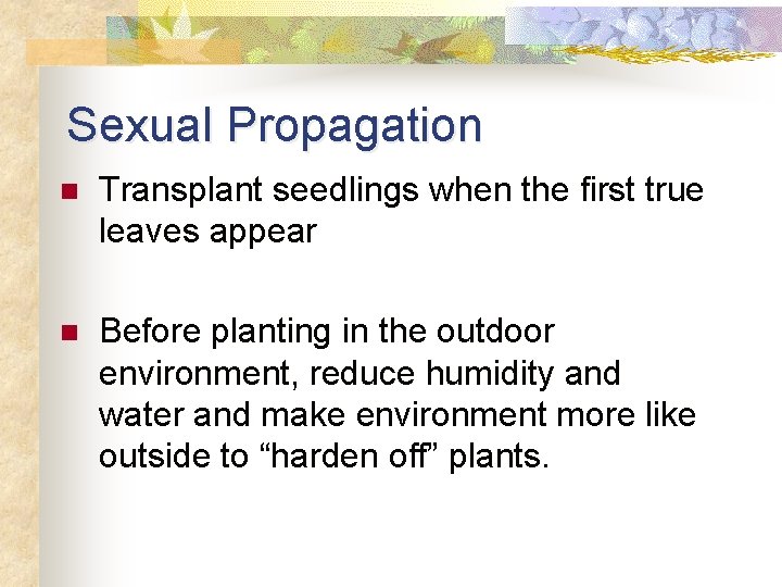 Sexual Propagation n Transplant seedlings when the first true leaves appear n Before planting