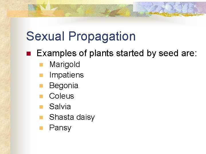 Sexual Propagation n Examples of plants started by seed are: n n n n