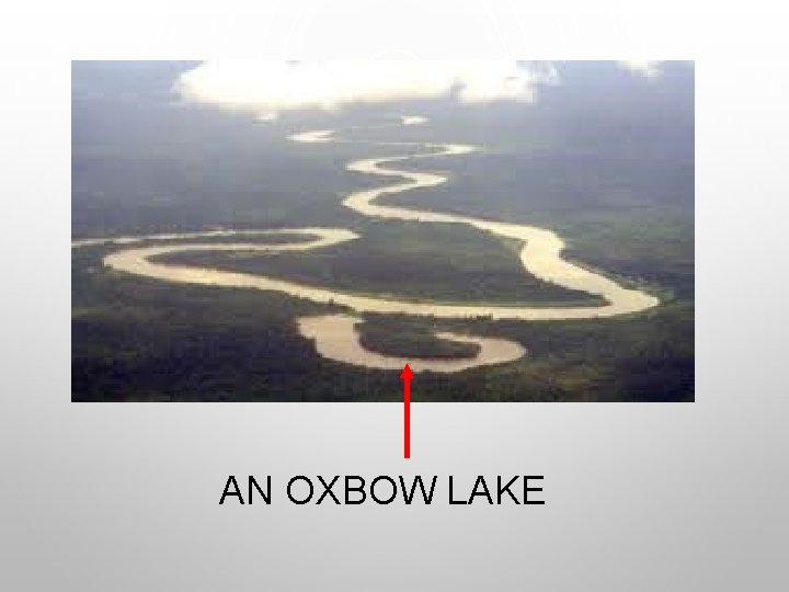 AN OXBOW LAKE 