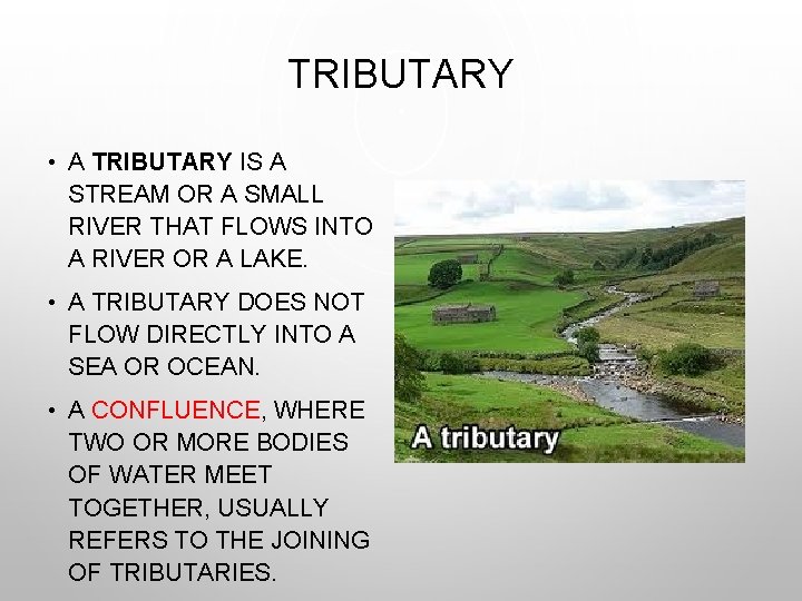 TRIBUTARY • A TRIBUTARY IS A STREAM OR A SMALL RIVER THAT FLOWS INTO
