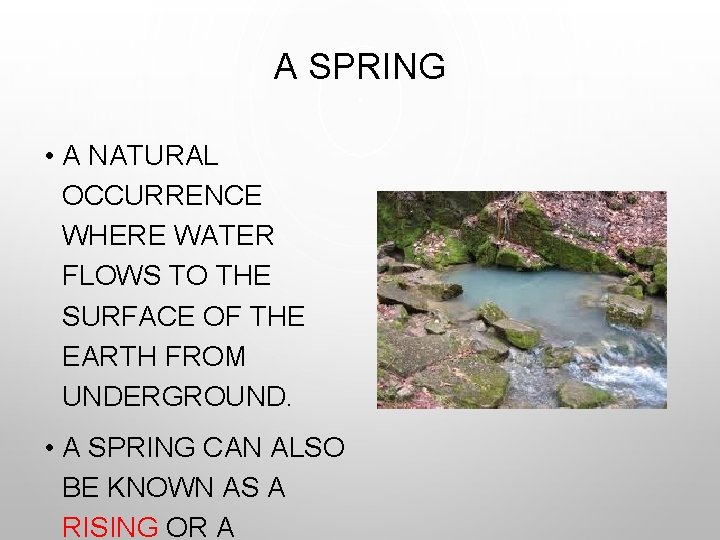 A SPRING • A NATURAL OCCURRENCE WHERE WATER FLOWS TO THE SURFACE OF THE