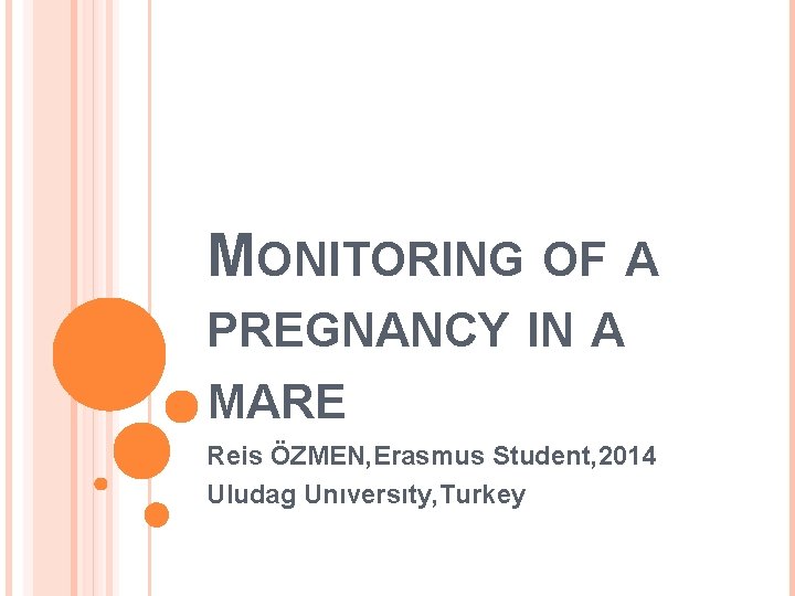 MONITORING OF A PREGNANCY IN A MARE Reis ÖZMEN, Erasmus Student, 2014 Uludag Unıversıty,