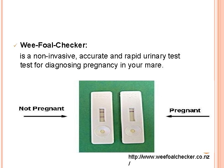 Wee-Foal-Checker: is a non-invasive, accurate and rapid urinary test for diagnosing pregnancy in your