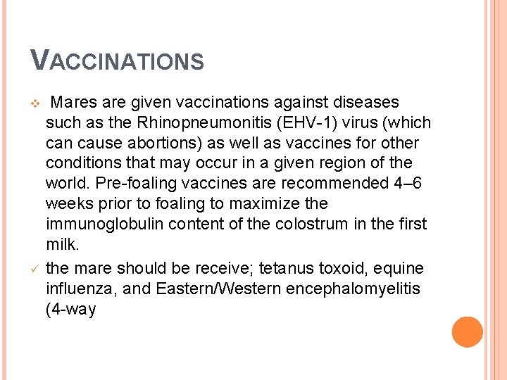 VACCINATIONS v ü Mares are given vaccinations against diseases such as the Rhinopneumonitis (EHV-1)