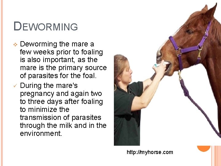 DEWORMING v ü Deworming the mare a few weeks prior to foaling is also