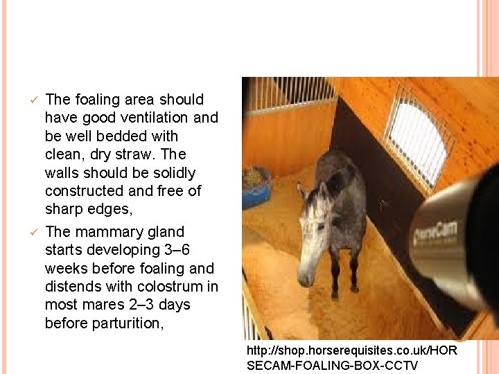 ü ü The foaling area should have good ventilation and be well bedded with