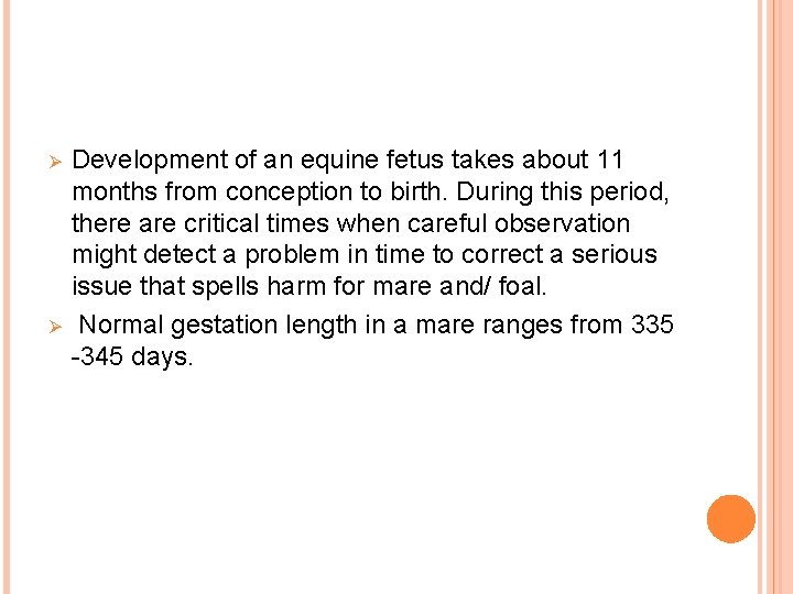 Ø Ø Development of an equine fetus takes about 11 months from conception to
