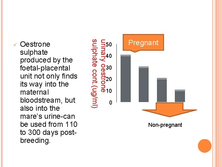 Oestrone sulphate produced by the foetal-placental unit not only finds its way into the