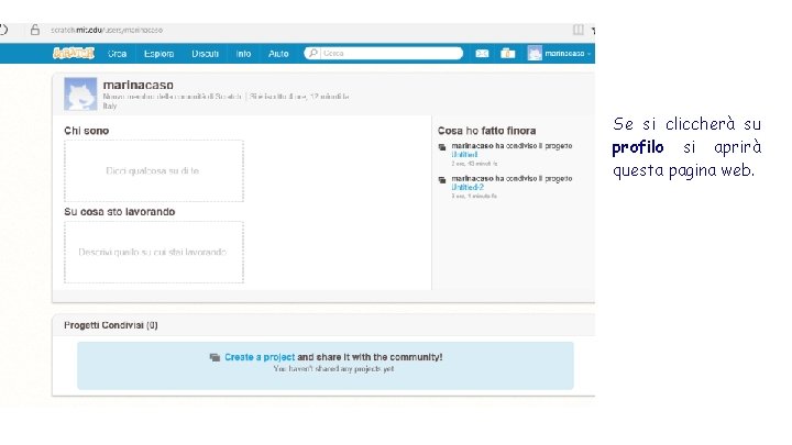 Se si cliccherà su profilo si aprirà questa pagina web. 