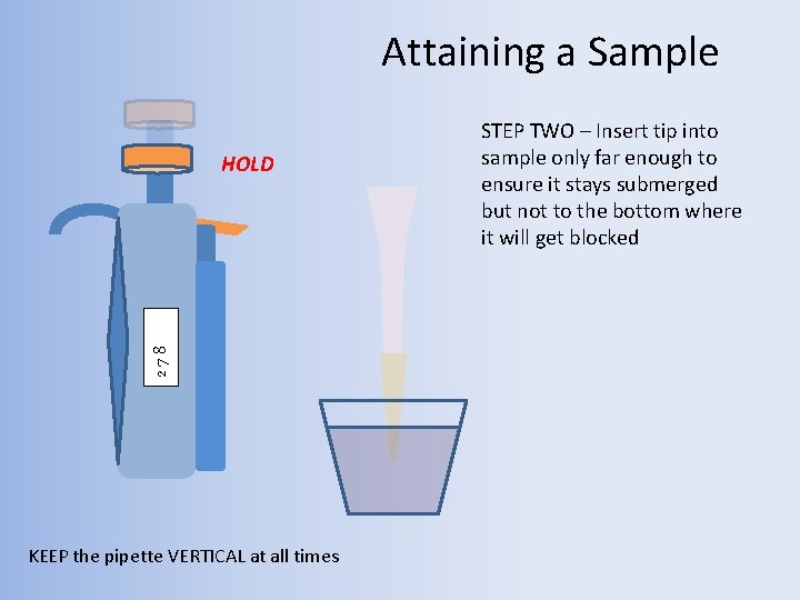 Attaining a Sample 278 HOLD KEEP the pipette VERTICAL at all times STEP TWO