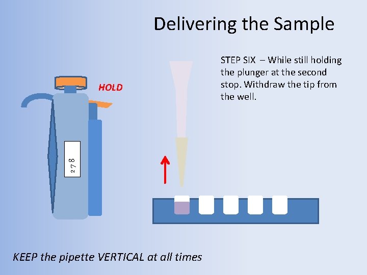 Delivering the Sample 278 HOLD KEEP the pipette VERTICAL at all times STEP SIX