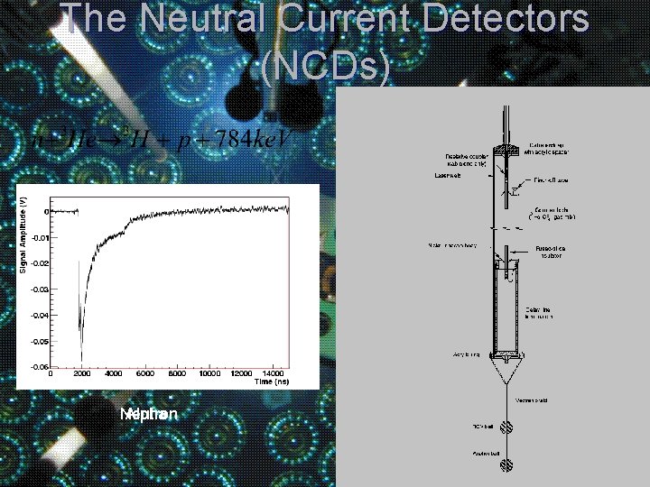 The Neutral Current Detectors (NCDs) Neutron Alpha 