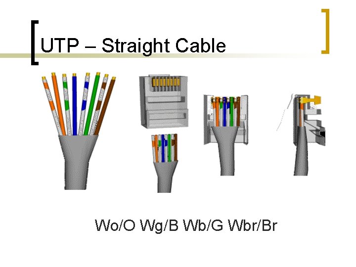 UTP – Straight Cable Wo/O Wg/B Wb/G Wbr/Br 