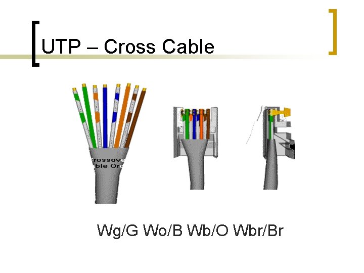 UTP – Cross Cable Wg/G Wo/B Wb/O Wbr/Br 