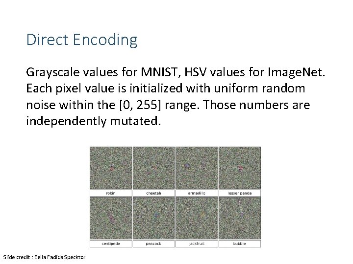 Direct Encoding Grayscale values for MNIST, HSV values for Image. Net. Each pixel value