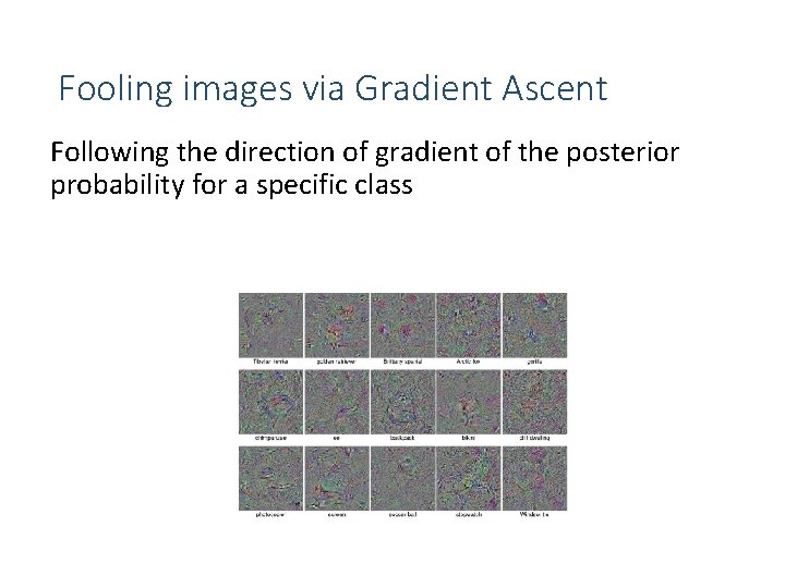Fooling images via Gradient Ascent Following the direction of gradient of the posterior probability