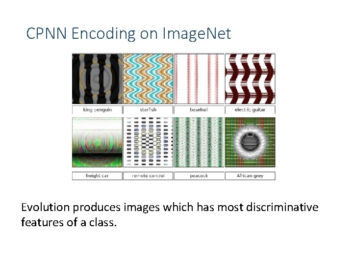 CPNN Encoding on Image. Net Evolution produces images which has most discriminative features of