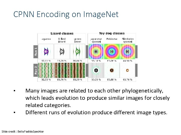 CPNN Encoding on Image. Net ▪ ▪ Many images are related to each other