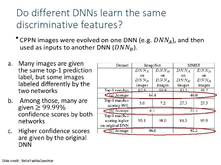 Do different DNNs learn the same discriminative features? • Slide credit : Bella Fadida