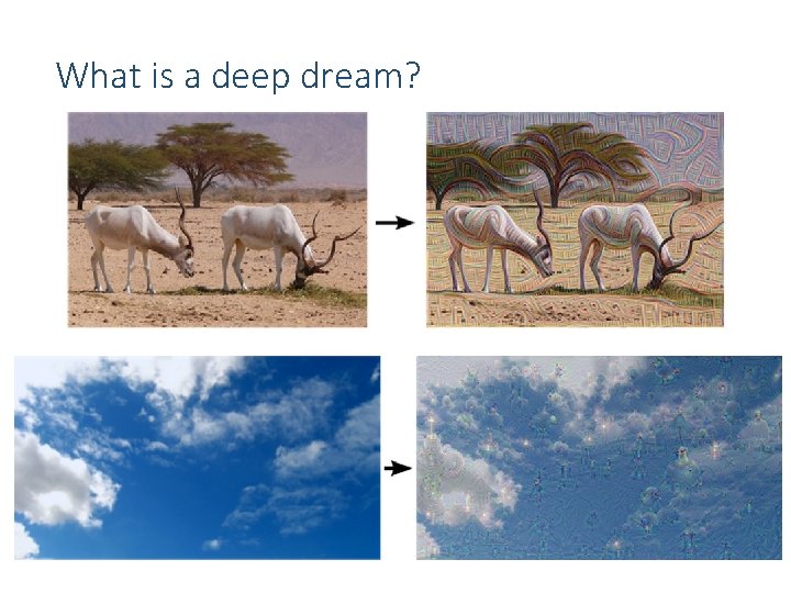 What is a deep dream? 