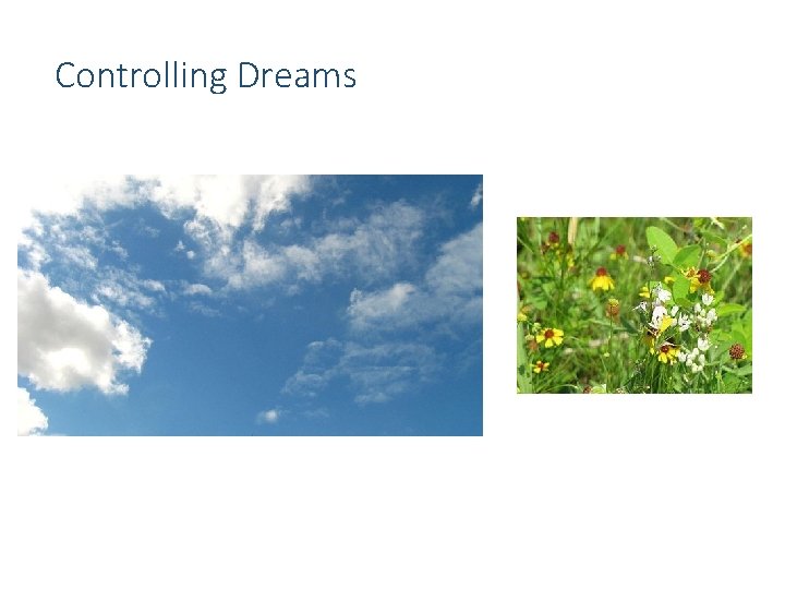 Controlling Dreams 
