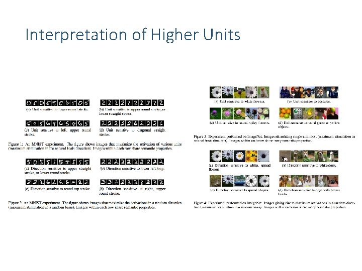 Interpretation of Higher Units 