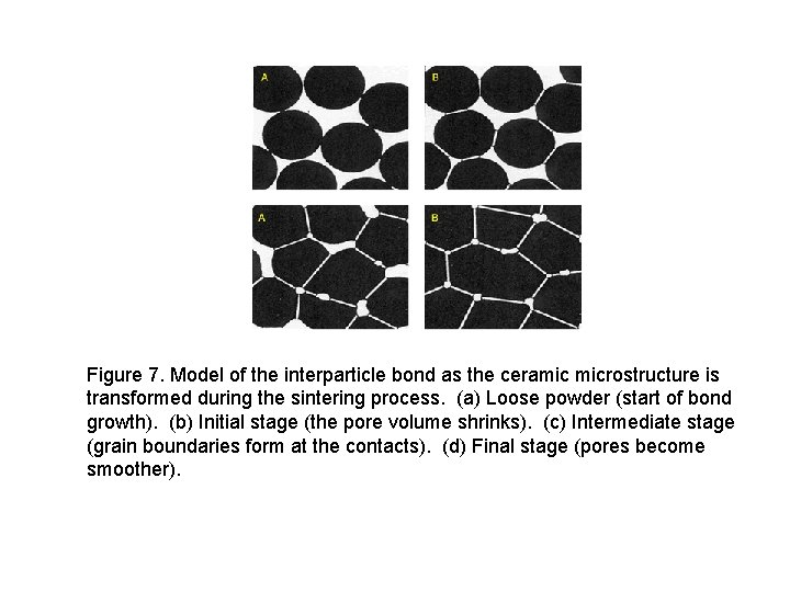 Figure 7. Model of the interparticle bond as the ceramic microstructure is transformed during