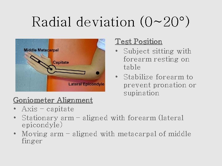 Radial deviation (0~20°) Test Position • Subject sitting with forearm resting on table •