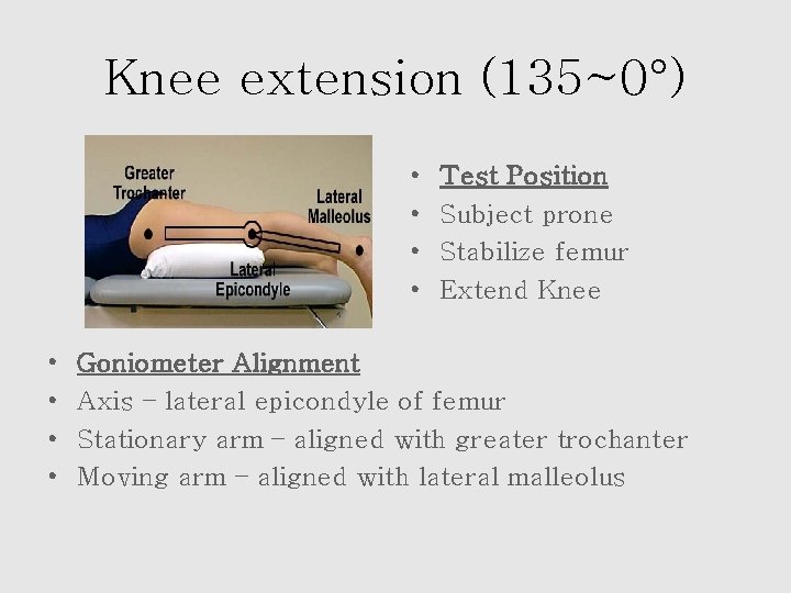 Knee extension (135~0°) • • Test Position Subject prone Stabilize femur Extend Knee Goniometer
