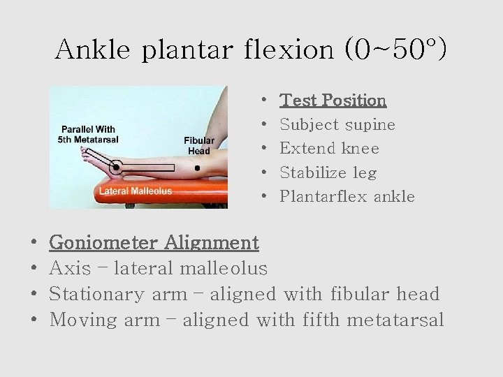 Ankle plantar flexion (0~50°) • • • Test Position Subject supine Extend knee Stabilize