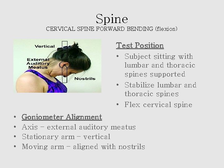 Spine CERVICAL SPINE FORWARD BENDING (flexion) Test Position • Subject sitting with lumbar and