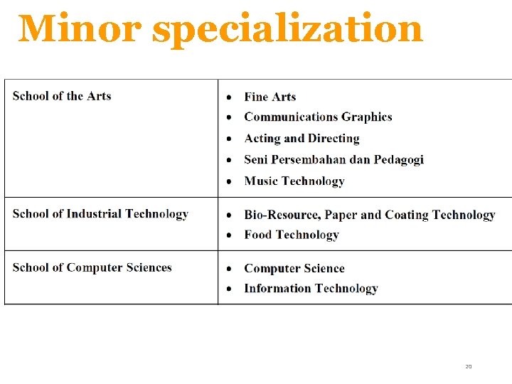 Minor specialization 20 