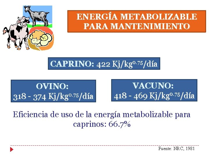 ENERGÍA METABOLIZABLE PARA MANTENIMIENTO CAPRINO: 422 Kj/kg 0. 75/día OVINO: 318 - 374 Kj/kg ENERGÍA METABOLIZABLE PARA MANTENIMIENTO CAPRINO: 422 Kj/kg 0. 75/día OVINO: 318 - 374 Kj/kg