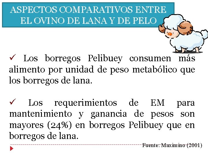 ASPECTOS COMPARATIVOS ENTRE EL OVINO DE LANA Y DE PELO ü Los borregos Pelibuey ASPECTOS COMPARATIVOS ENTRE EL OVINO DE LANA Y DE PELO ü Los borregos Pelibuey