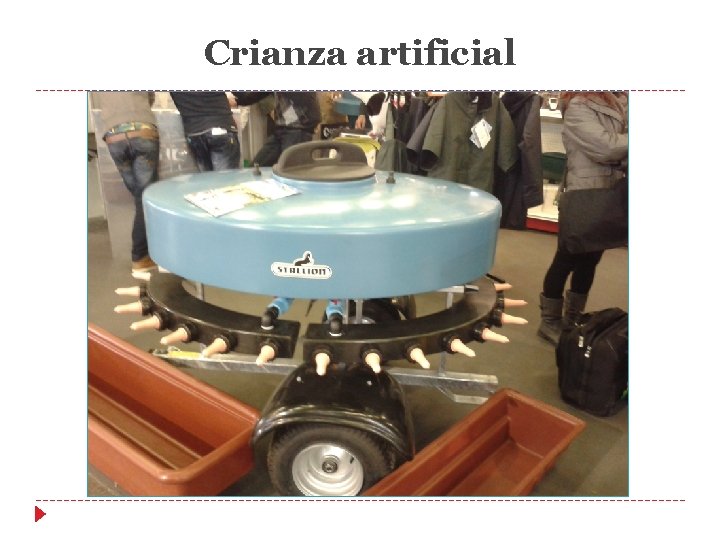Crianza artificial Crianza artificial
