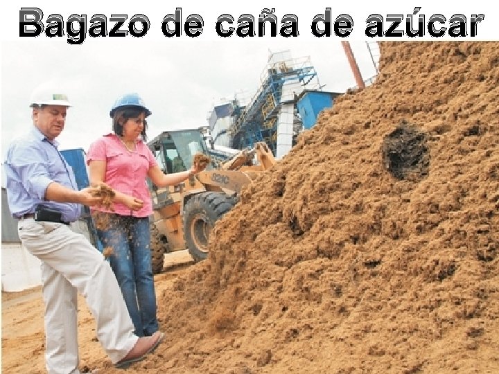 Bagazo de caña de azúcar Bagazo de caña de azúcar
