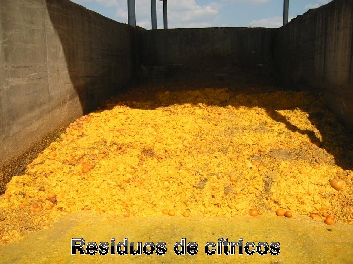 Residuos de cítricos Residuos de cítricos