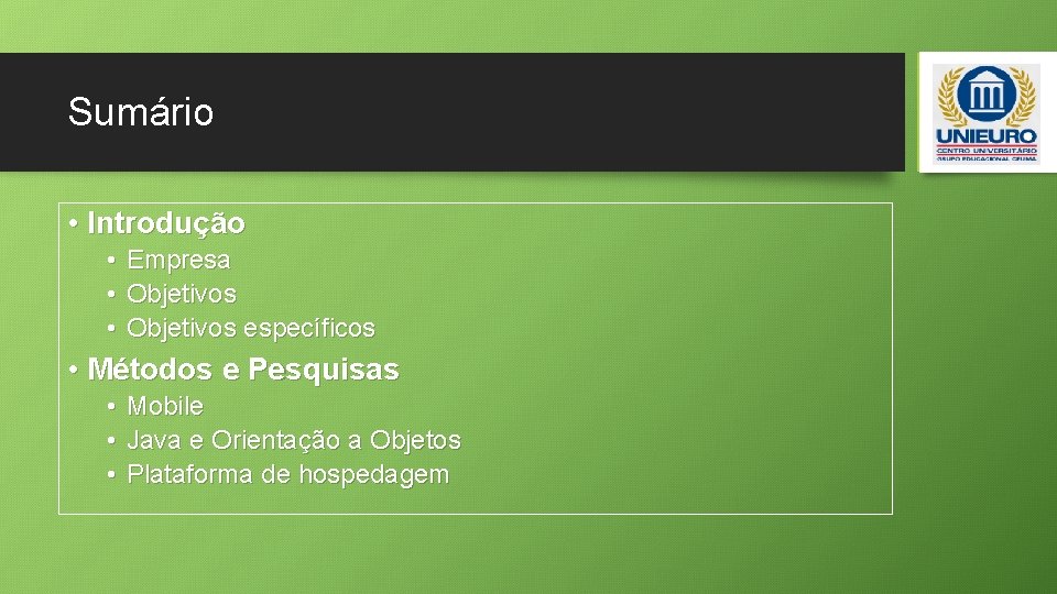 Sumário • Introdução • • • Empresa Objetivos específicos • Métodos e Pesquisas •