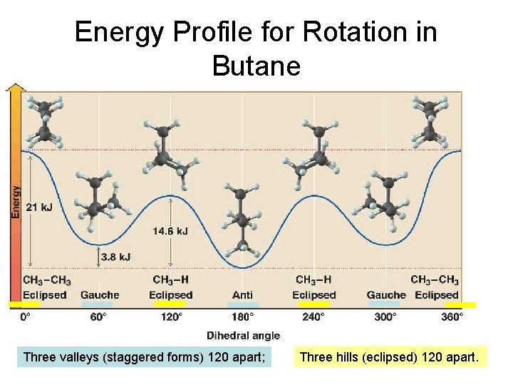 Energy Profile for Rotation in Butane Three valleys (staggered forms) 120 apart; Three hills Energy Profile for Rotation in Butane Three valleys (staggered forms) 120 apart; Three hills