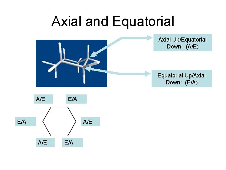 Axial and Equatorial Axial Up/Equatorial Down: (A/E) Equatorial Up/Axial Down: (E/A) A/E E/A Axial and Equatorial Axial Up/Equatorial Down: (A/E) Equatorial Up/Axial Down: (E/A) A/E E/A