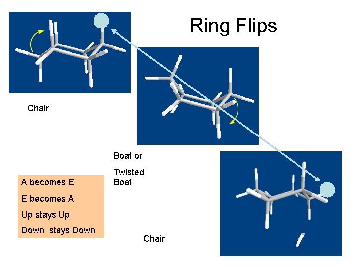 Ring Flips Chair Boat or A becomes E Twisted Boat E becomes A Up Ring Flips Chair Boat or A becomes E Twisted Boat E becomes A Up