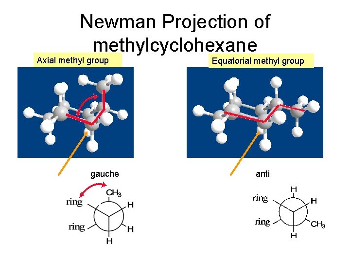 Newman Projection of methylcyclohexane Axial methyl group gauche Equatorial methyl group anti Newman Projection of methylcyclohexane Axial methyl group gauche Equatorial methyl group anti