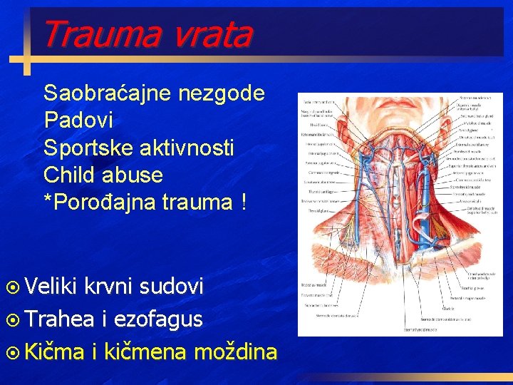 Trauma vrata Saobraćajne nezgode Padovi Sportske aktivnosti Child abuse *Porođajna trauma ! ¤ Veliki