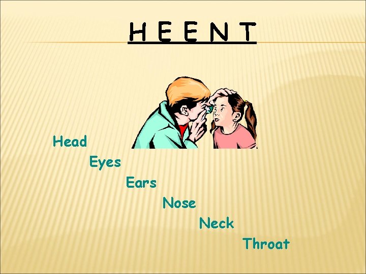 H E E N T Head Eyes Ears Nose Neck Throat 