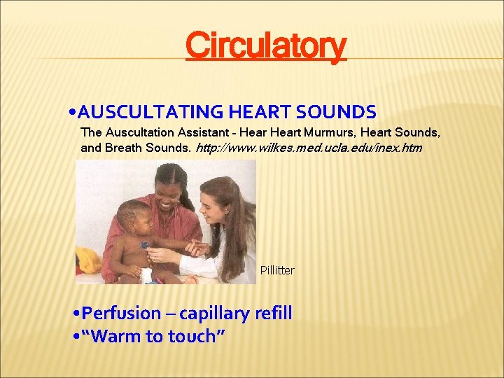 Circulatory • AUSCULTATING HEART SOUNDS The Auscultation Assistant – Heart Murmurs, Heart Sounds, and